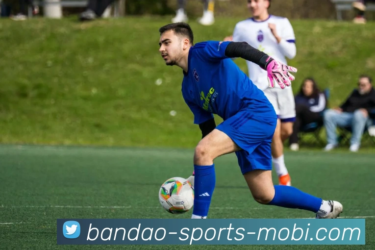 半岛体育发展历程